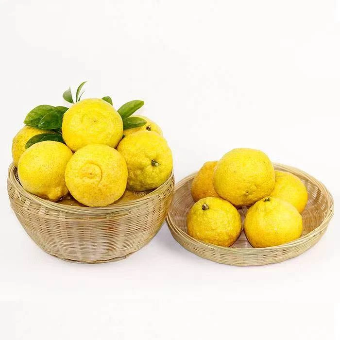南昌进贤特产2箱20斤春香柚（黄金贡柚）