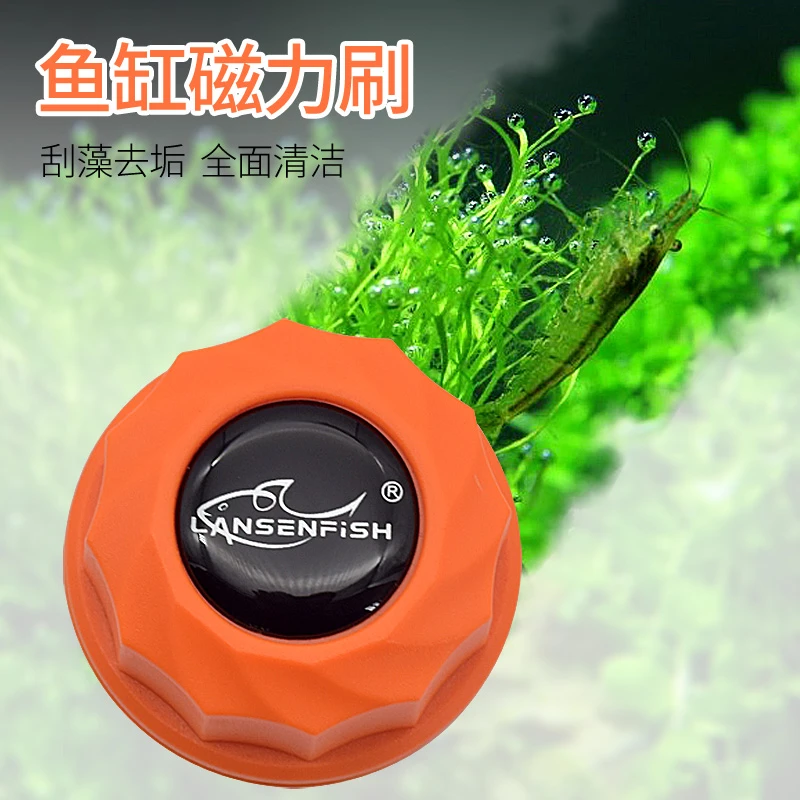 蓝鱼鱼缸刷迷你强力磁力刷小型双面擦玻璃缸器清洗刮藻清洁除藻