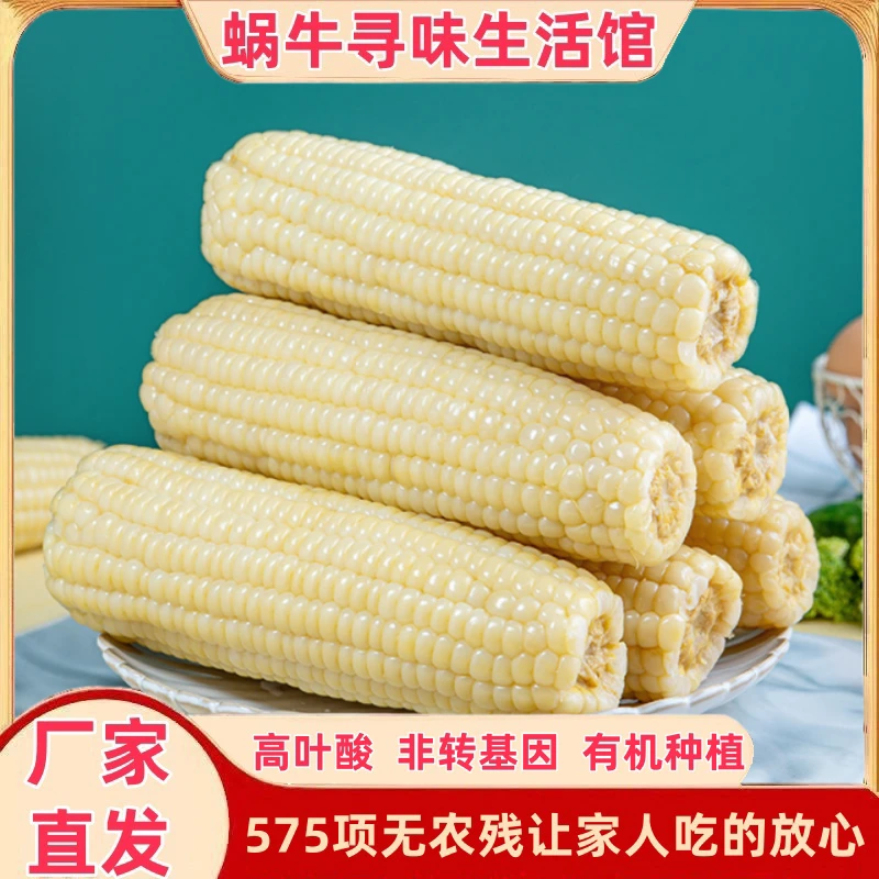 【坏了包赔】有机种植575项无农残高叶酸玉米真空锁鲜甜糯白糯玉米