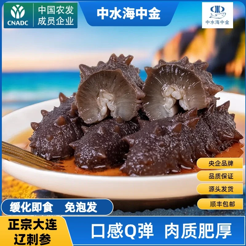 中水海中金央企品牌正宗大连辽参底播海参高品质海参辽参冷冻