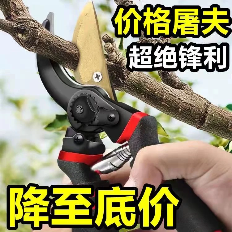 德式进口sk5农用园艺剪不锈钢省力修剪枝果树粗枝树枝专用剪子