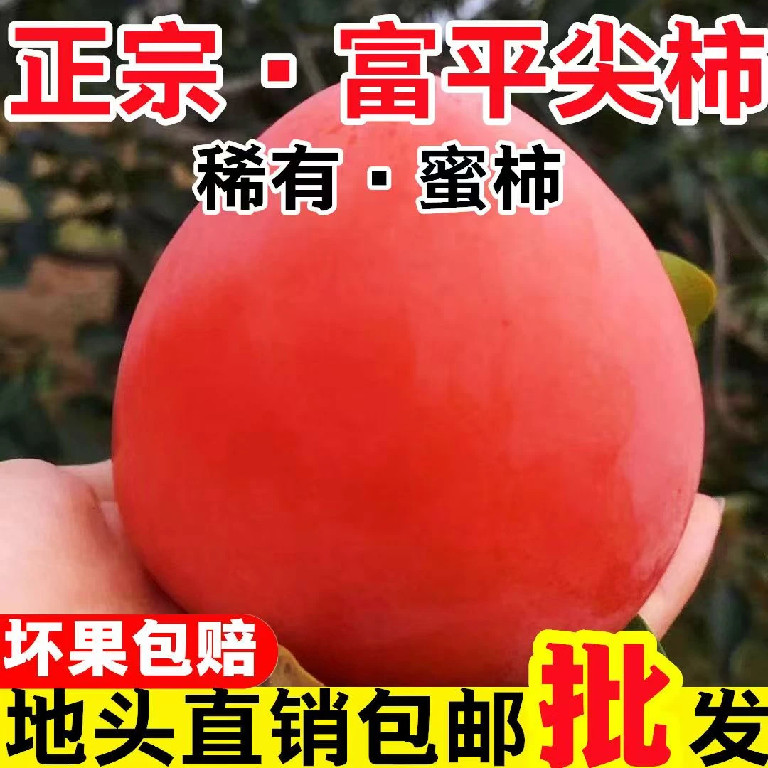 正宗富平大尖柿2024新鲜柿子应季整箱挂柿饼甜柿软柿水果柿子