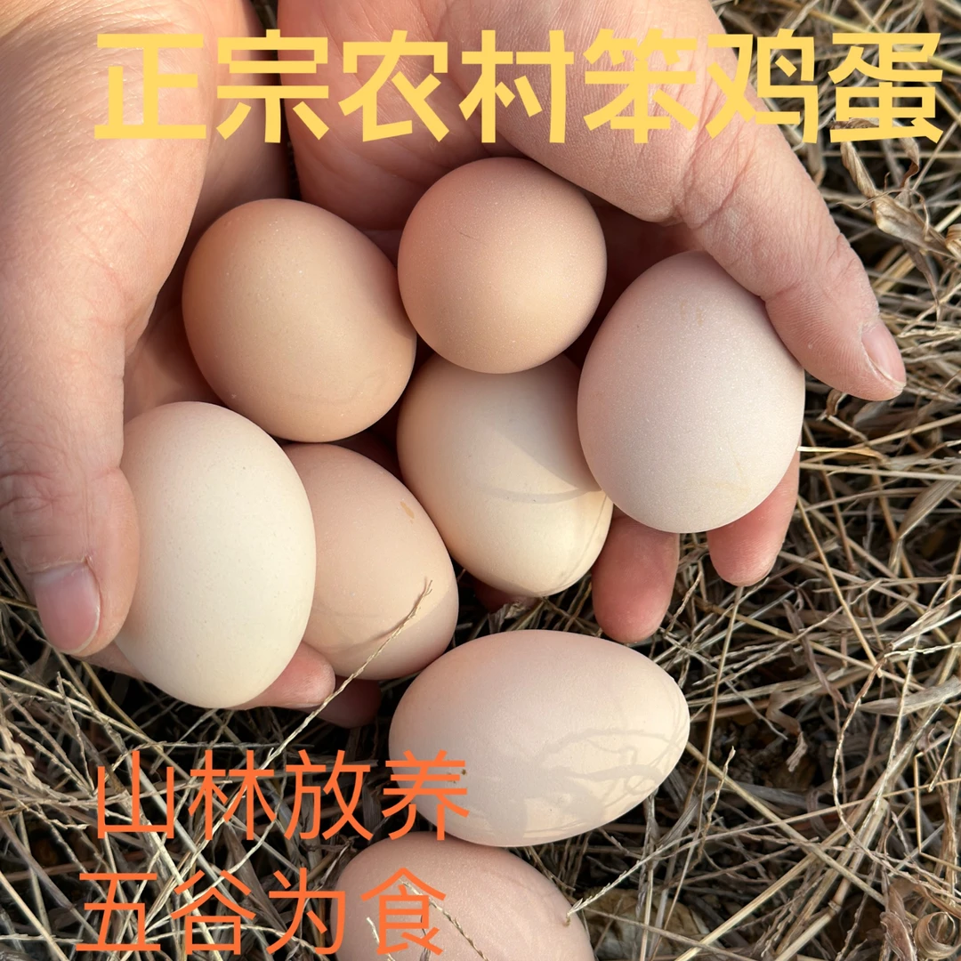 40枚散养粉壳初生蛋土鸡蛋农场喂养 0激0抗 五谷杂粮 C