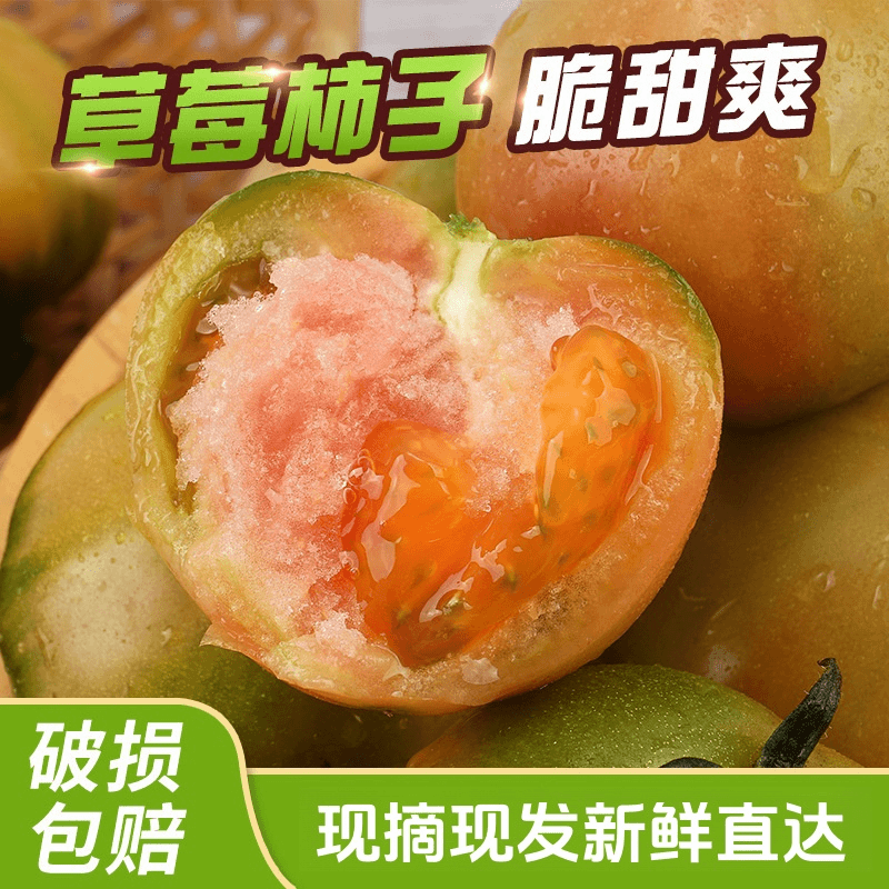 现摘现发烟台大草莓铁皮西红柿原产地新鲜自然熟水果番茄礼盒送礼