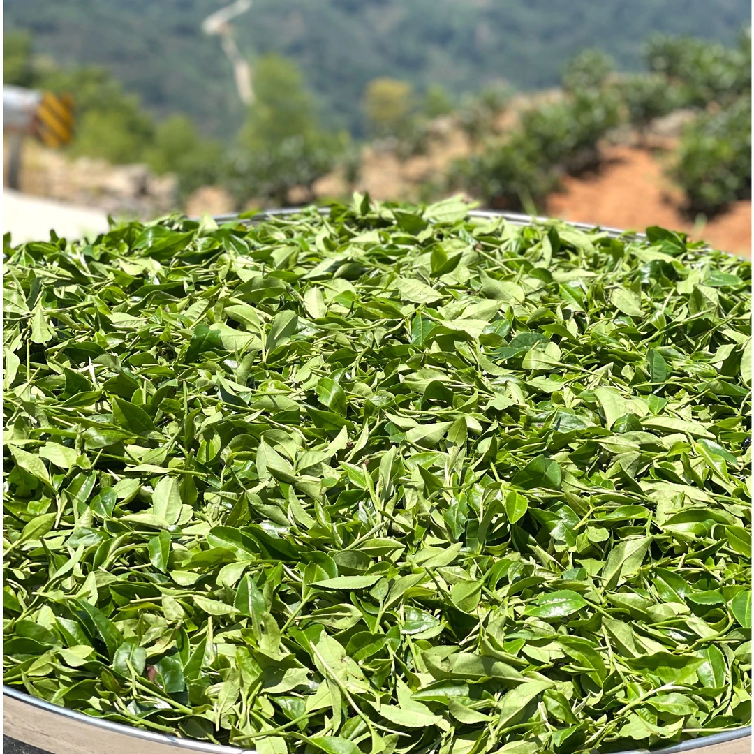 寒露茶饼  2025年寒露寿眉 高山白茶