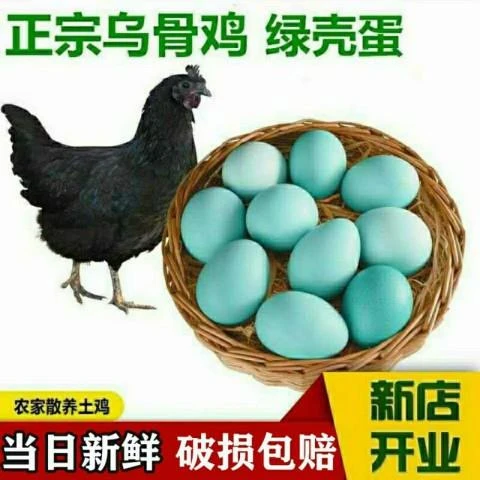 顺丰发货山林散养乌鸡蛋营养新鲜绿壳蛋农家一箱装草鸡蛋健康营