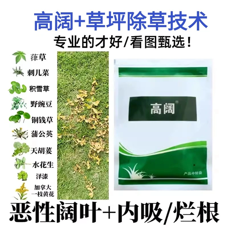 高阔恶阔净百慕大马尼拉草坪除水花生飞蓬阔叶草坪烂根型除草剂