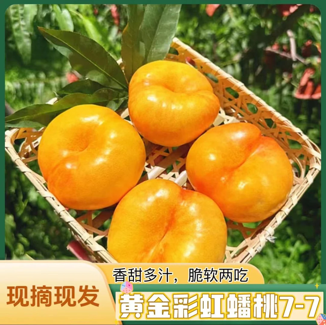 【现摘现发】正宗山东彩虹蟠桃5斤带箱脆甜爽口放软吃爆甜流汁流蜜