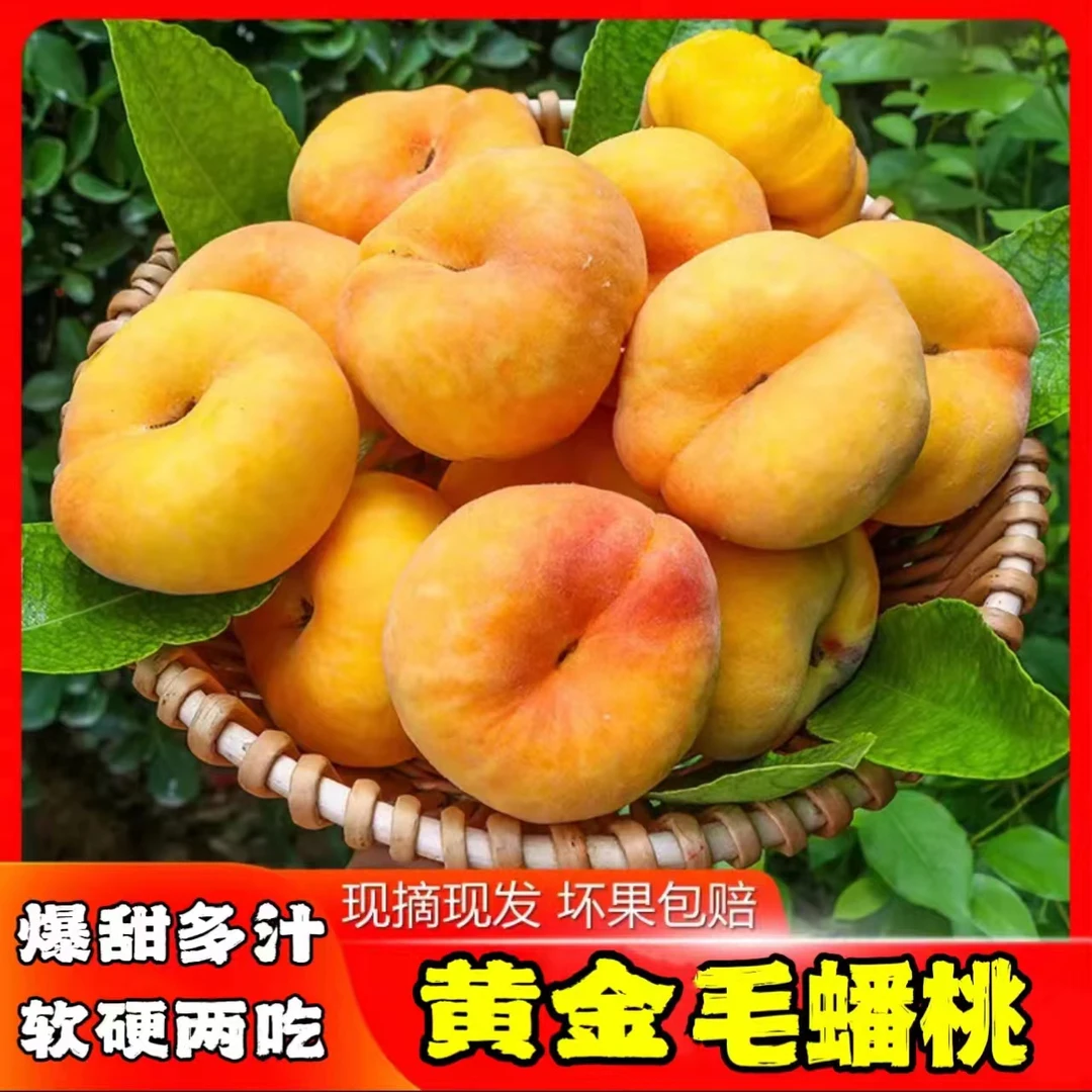 【现摘现发】蒙阴黄金毛蟠桃带箱5斤应季新鲜软硬两吃脆甜爽口多汁
