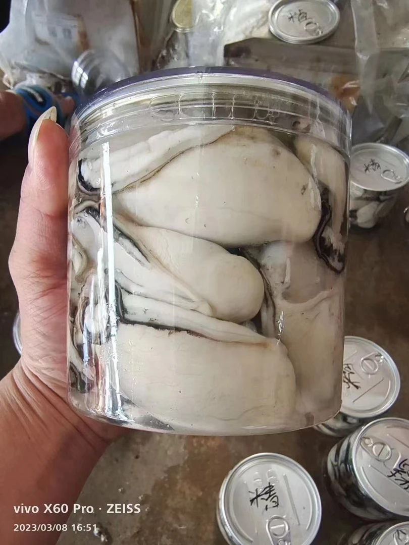 【光哥专属】台山中蚝 正宗白玉生鲜蚝鲜甜脆口 现开现剥18-20只/罐