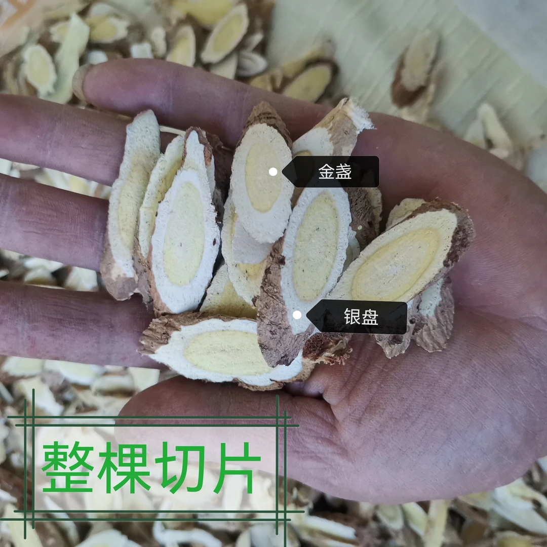 野外采挖北芪多年生老黄芪片250--500克邮农产品可搭配党参