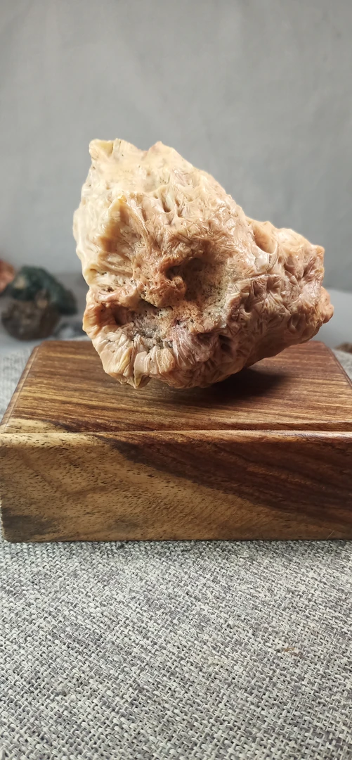 阿拉善奇石，沙漠漆，红黄鸡骨，玛瑙质地