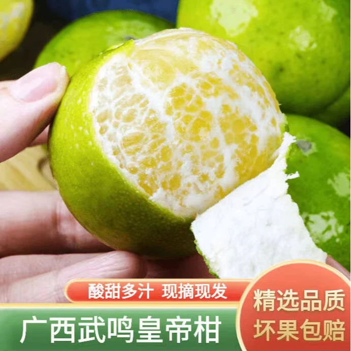 【佰汾佰禾】广西头茬皇帝柑4.5-5斤装 橘桔子贡柑 皮薄酸甜多汁