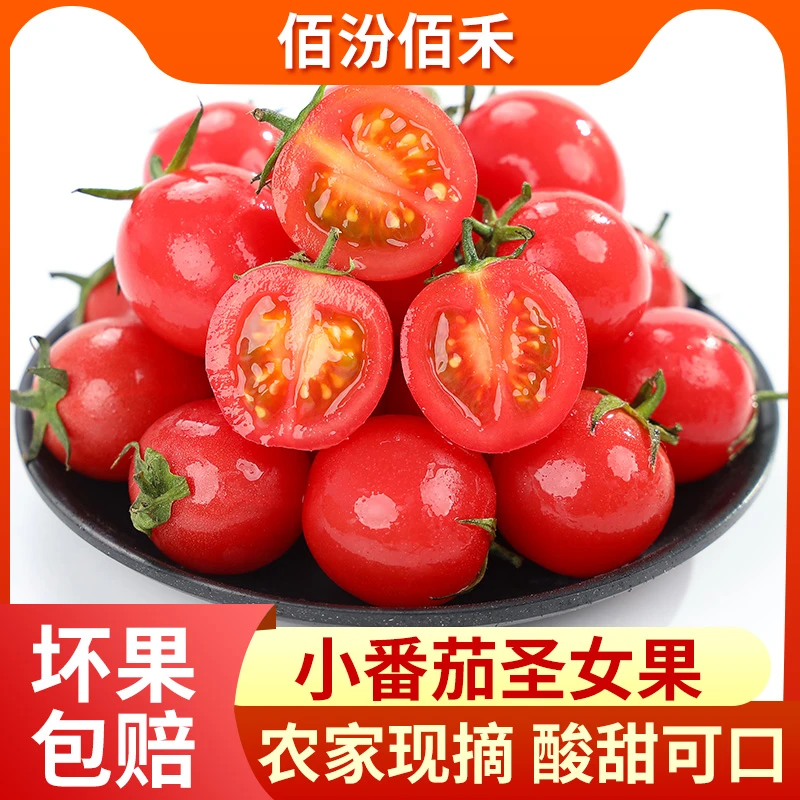 【产地上涨】广西现摘新鲜圣女果4.5-5斤小番茄酸甜爆汁-X