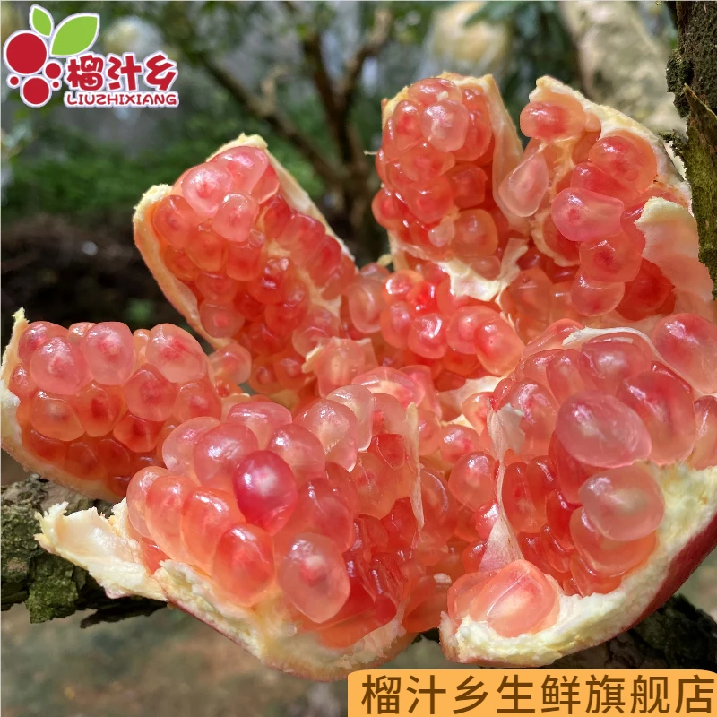 【榴汁乡】云南蒙自甜石榴3斤水晶薄皮石榴孕妇新鲜水果整箱包邮