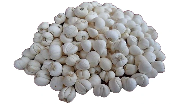正宗下山川贝（炖雪梨）250g