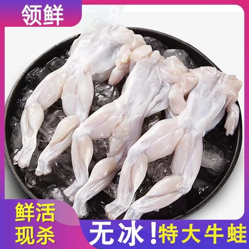 【牛蛙批发】鲜活现杀无冰衣特大号去头皮内脏新鲜鲜嫩干锅食材