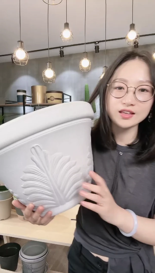 【闪购商品】塑料20CM（含）-50CM（不含）14.7帕姆盆浅色2只
