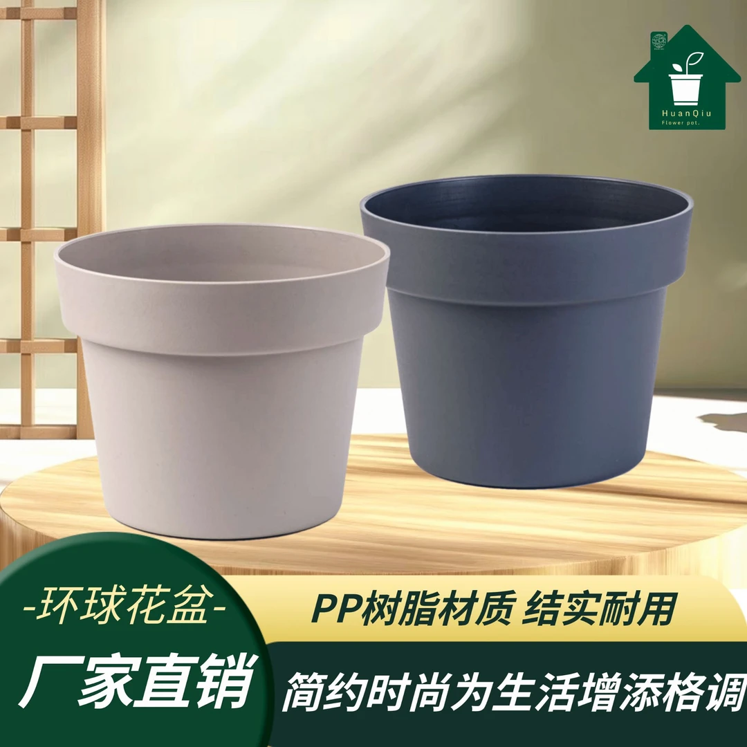 环球霍伦系列霍伦矮月季盆200