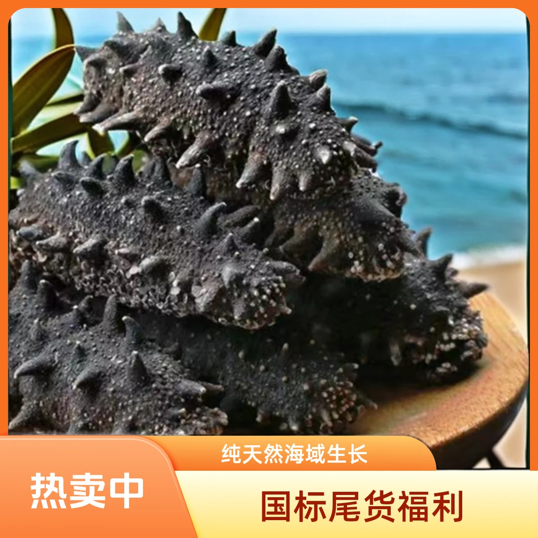 【国标海参】源头工厂50-60头渤海湾淡干深海海参滋补品送礼