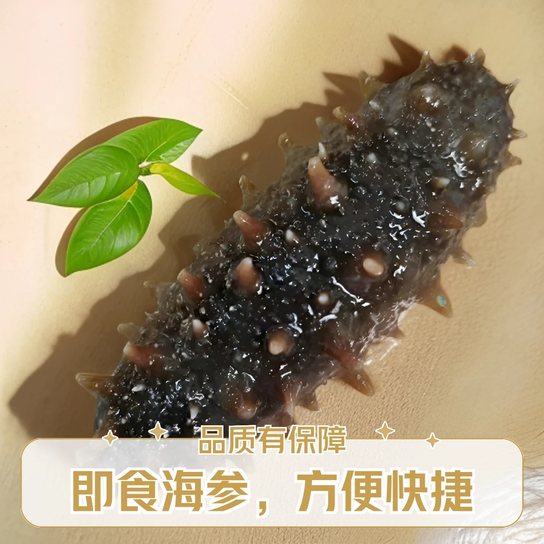 [三斤装]独立包装 开封即食海参 肉质饱满 渤海湾刺参口感劲道Q弹