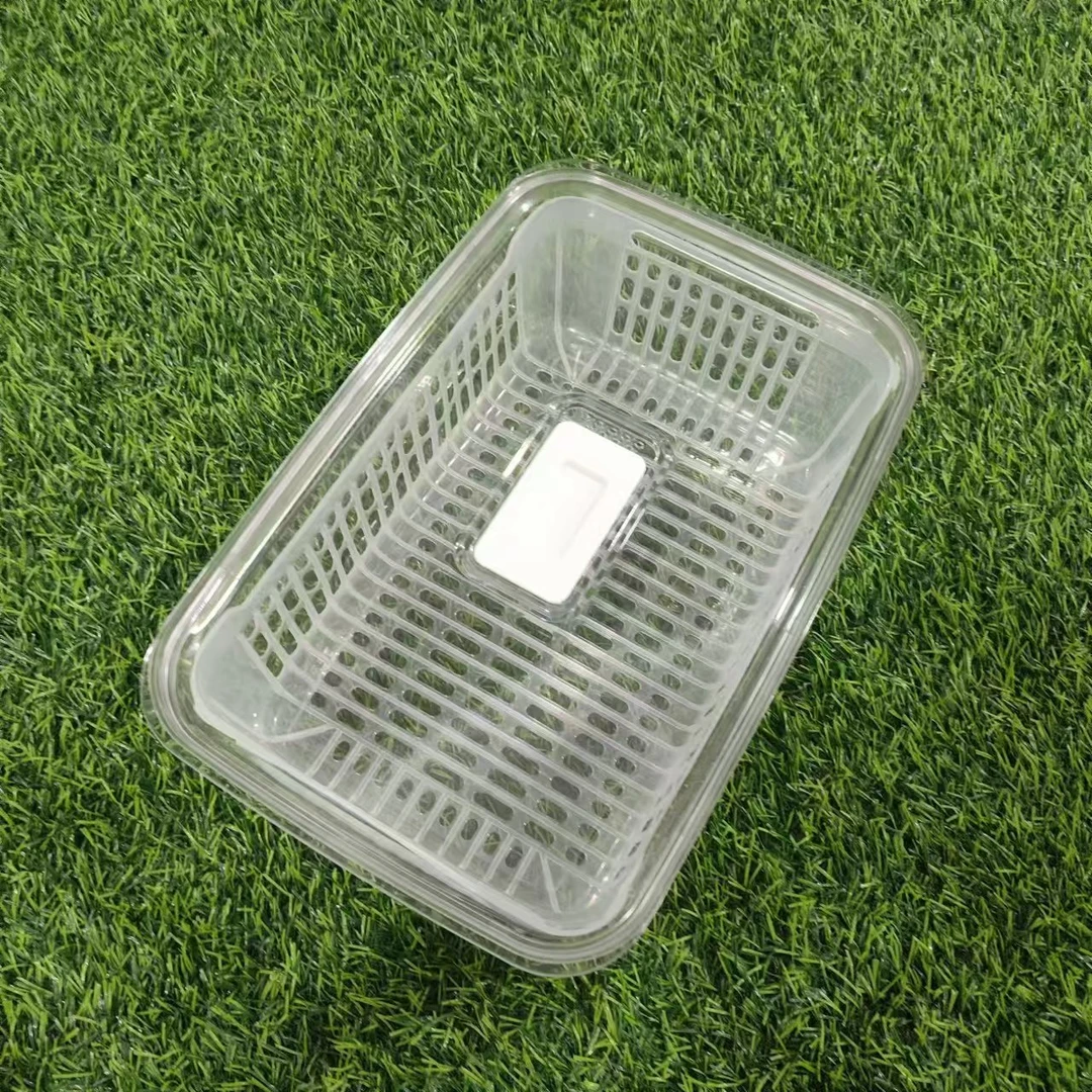 沥水保鲜盒
