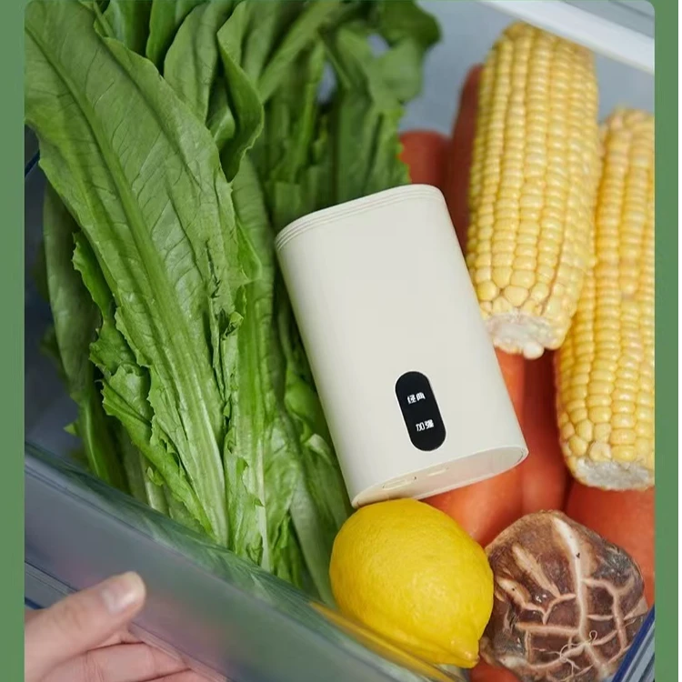 冰箱电子除味净化器