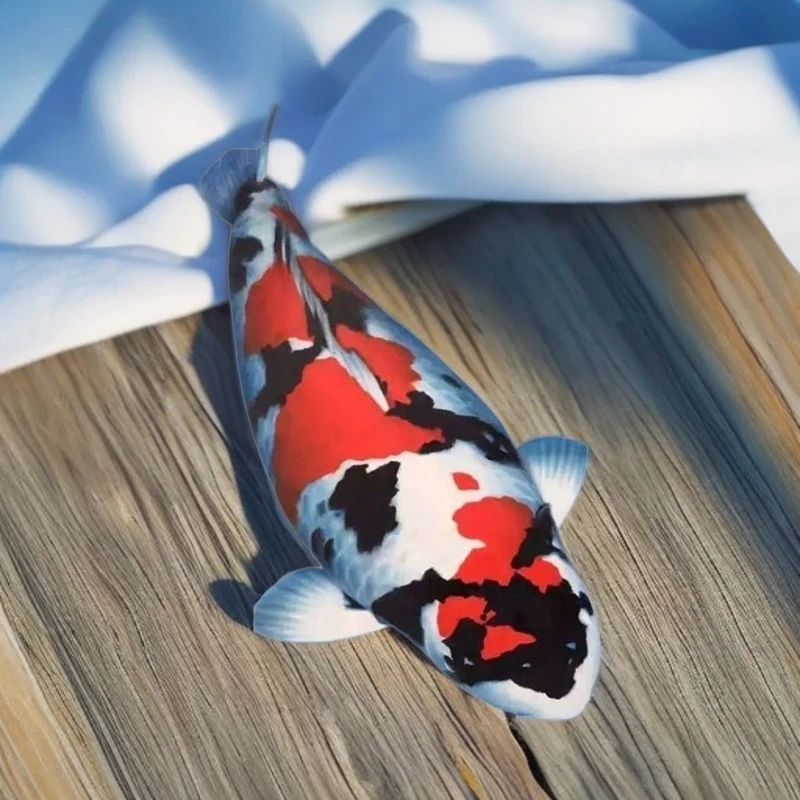 纯种进口锦鲤火鲤日本红白三色丹顶白写昭和高端锦鲤鱼池观赏鱼大