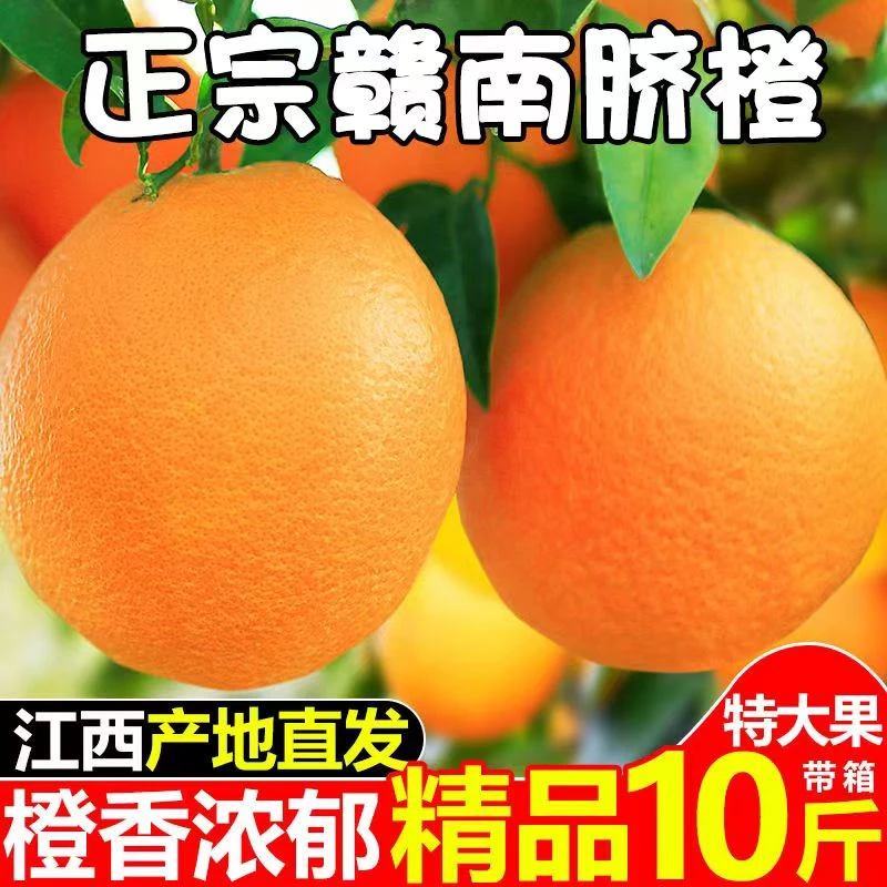 橙心精选正宗赣南脐橙一整箱当季新鲜水果香甜橙子现摘现发脐橙