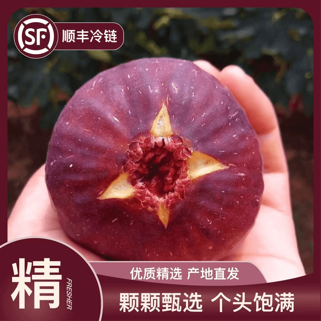 【顺丰包邮】四川新鲜无花果精品大果红紫皮水果孕妇当季水果批发