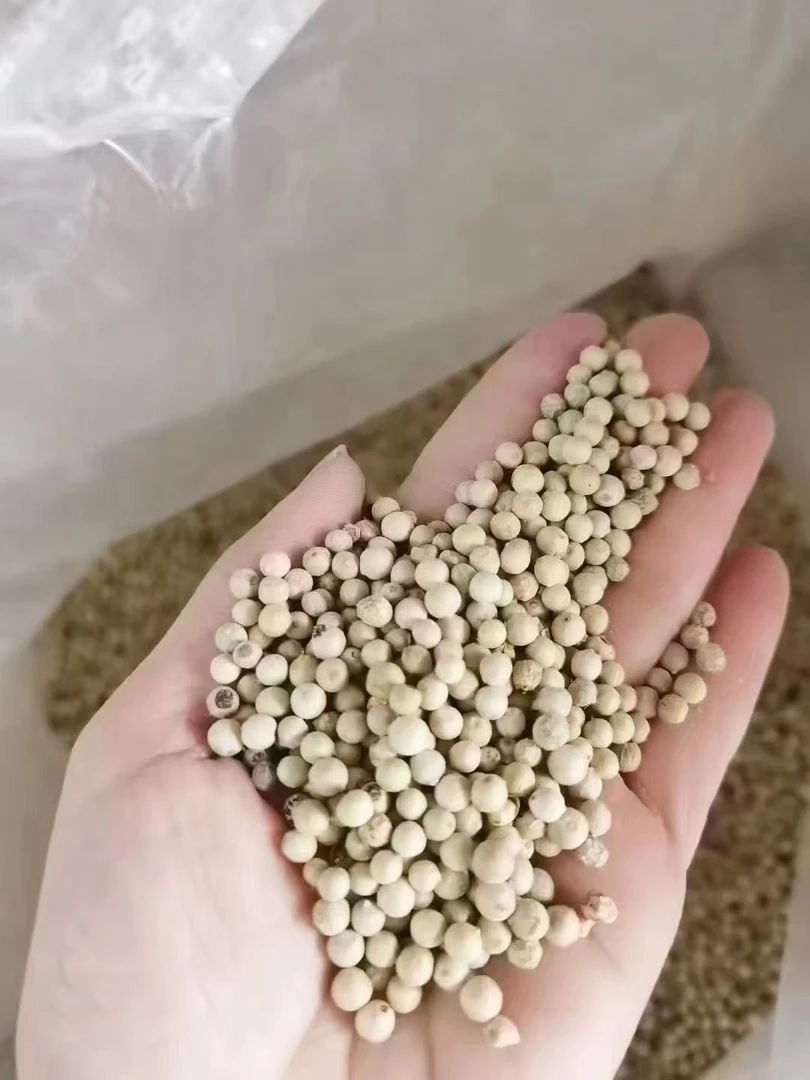 正宗海南胡椒500克