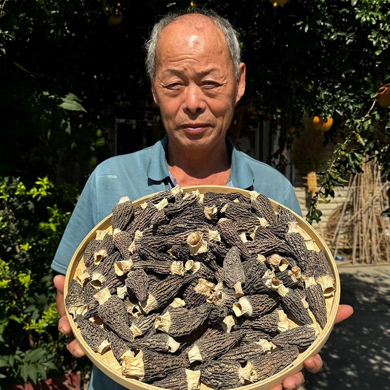 干羊肚菌【5-8cm】头茬羊肚菌 肉质肥厚煲汤佳品新鲜干货