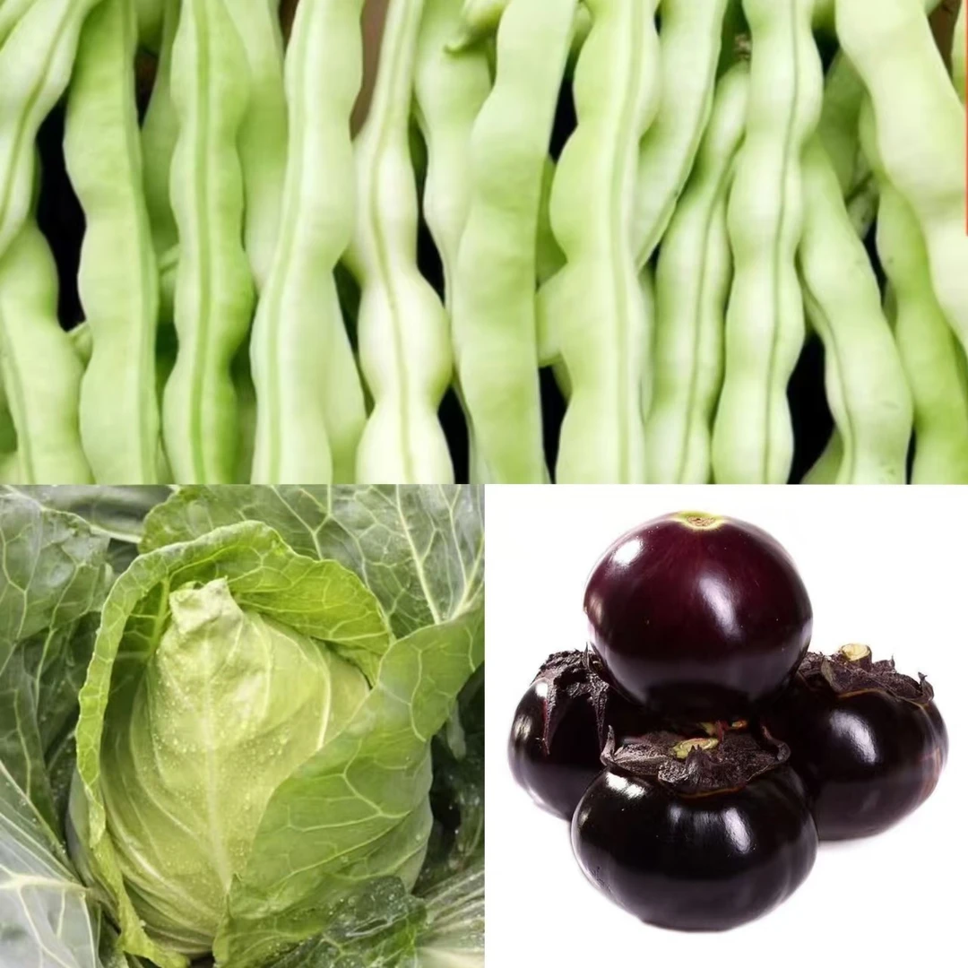 【产地直发新鲜蔬菜组合】二斤芸豆二斤茄子一个甘蓝超值组合25.8元