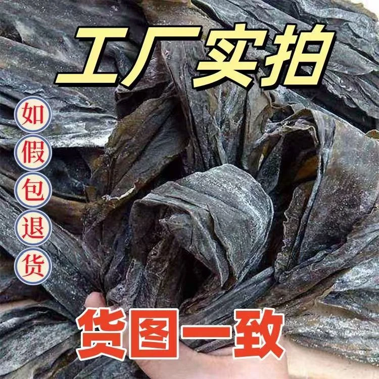 海带干货批发特产日晒煲汤干海带霞浦商用昆布海带片一整片特厚