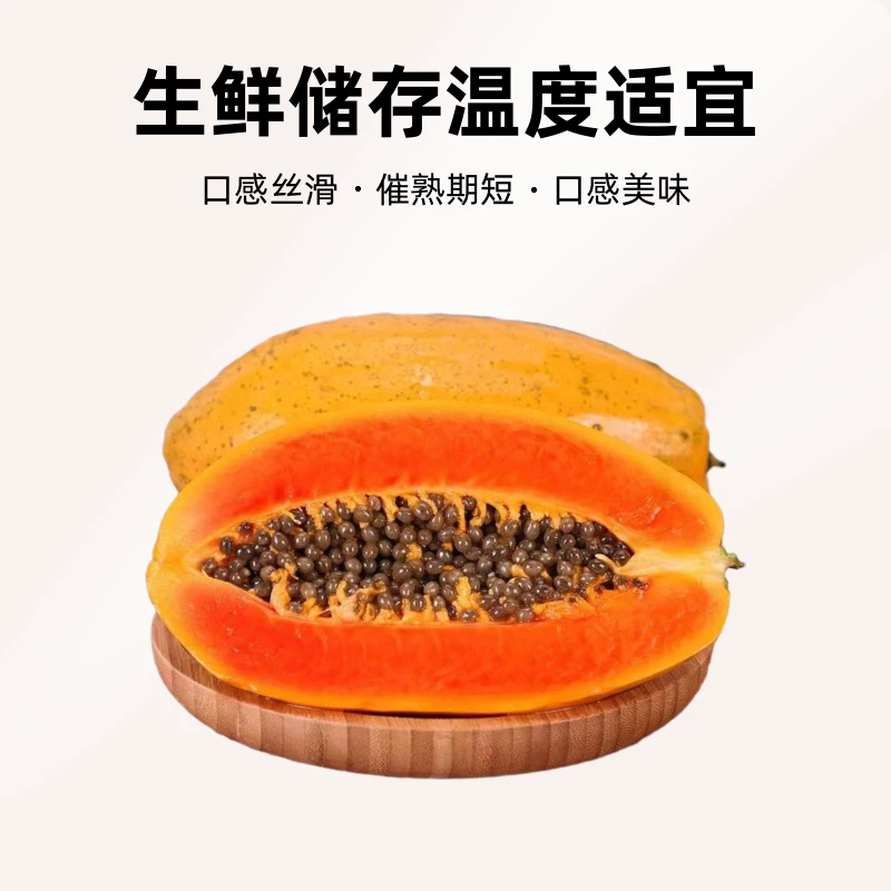 1三海金芒【海南牛奶红心木瓜】新鲜采摘热带自然成熟口感丝滑食用