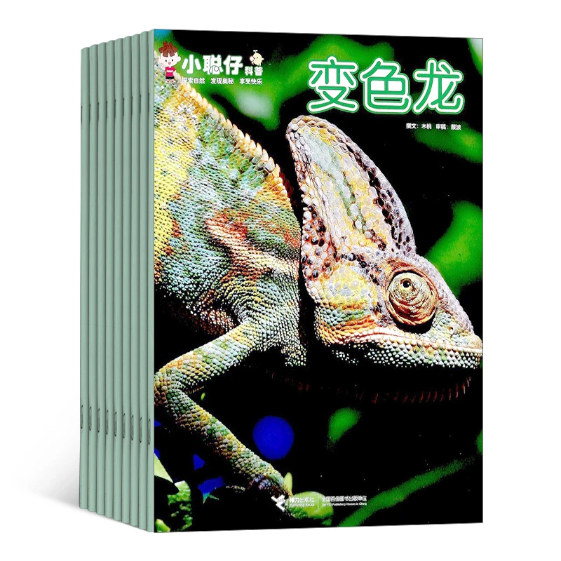 小聪仔科普版（全12册）22年过刊 附赠帆布袋