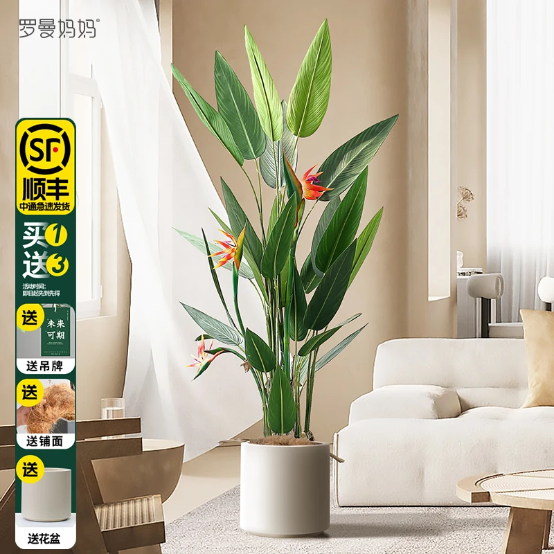 罗曼妈妈 北欧风仿真大植物落地盆景吉祥鸟天堂鸟室内家居造景