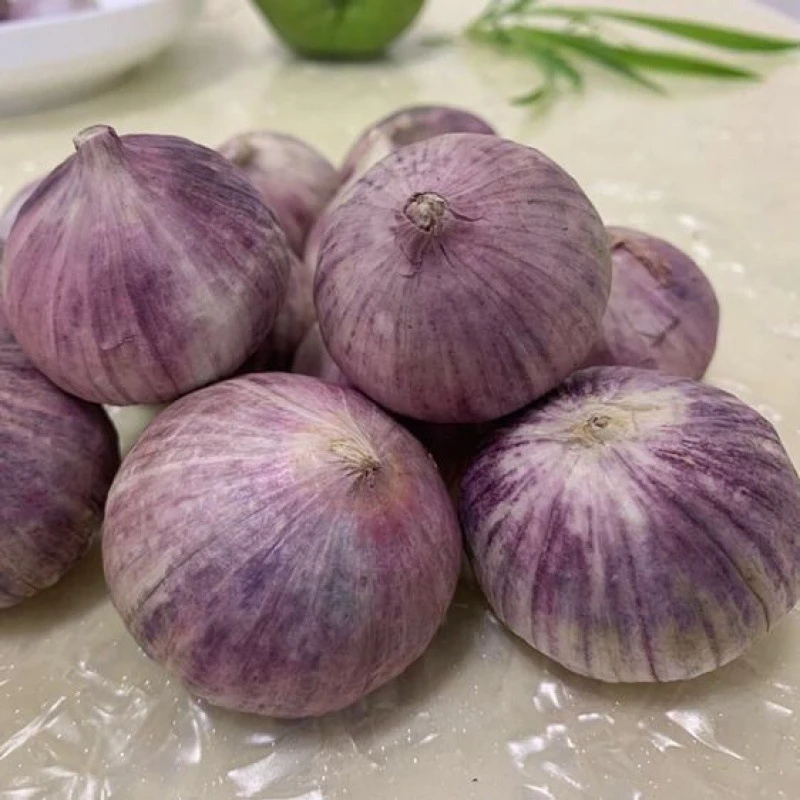 新晒全干蒜紫皮蒜独头蒜紫皮独蒜头蒜头干蒜紫皮大蒜工厂