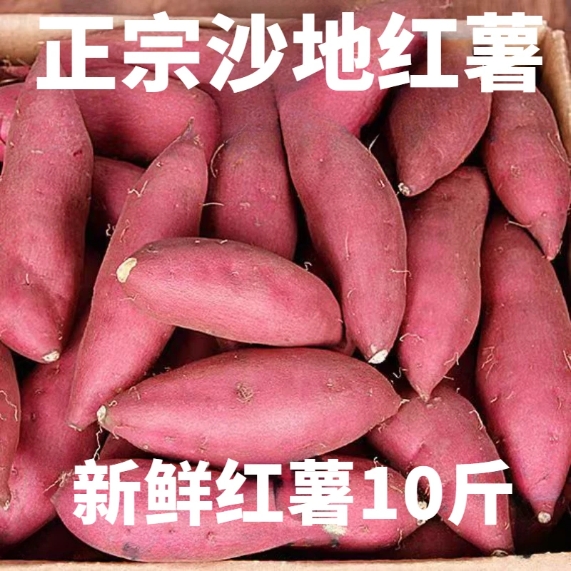 【新店半价】超甜沙地红薯1/5/10斤蜜薯地瓜番薯蔬菜水果非板栗红