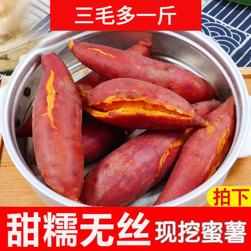 【新店半价】超甜沙地红薯1/5/10斤鲜黄心板栗小蜜番薯香甜山芋批