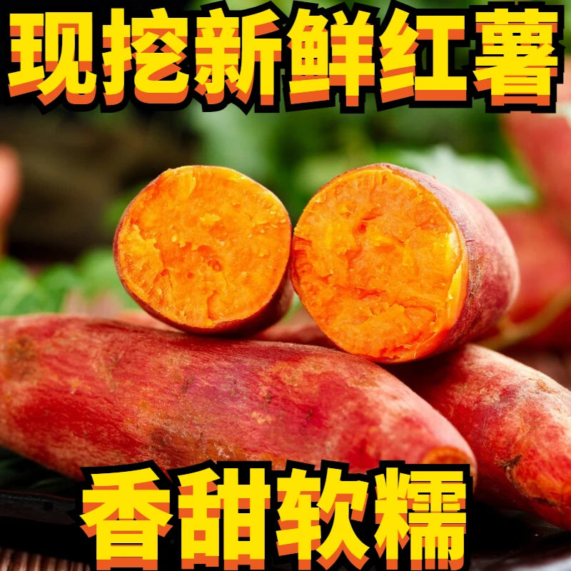 【新店半价】超甜沙地红薯1/5/10斤新鲜正宗产地直发小红薯低脂地