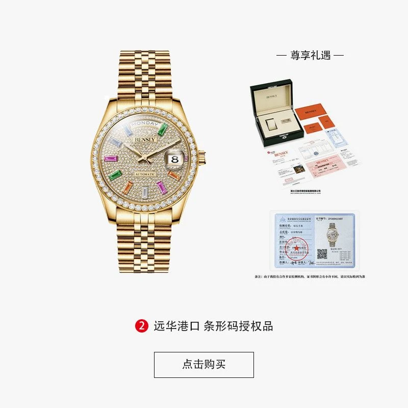 瑞士品牌BENSLY宾时力 男士机械手表-BY221-ZYQA