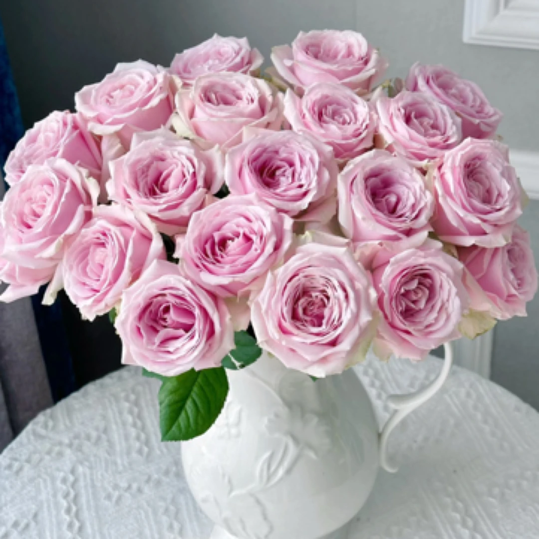 粉红雪山20支顺丰冷链包邮，任意两单退1单运费