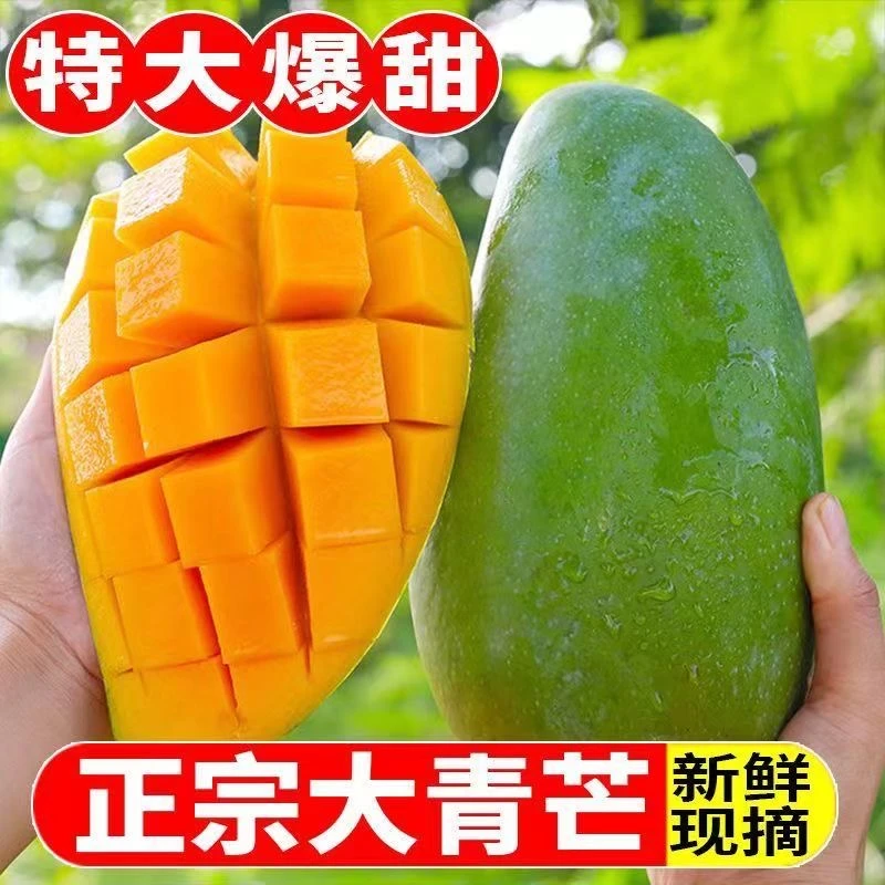 【净重9斤】正宗广西青皮金煌芒大青芒果当季新鲜水果皮薄汁多海南