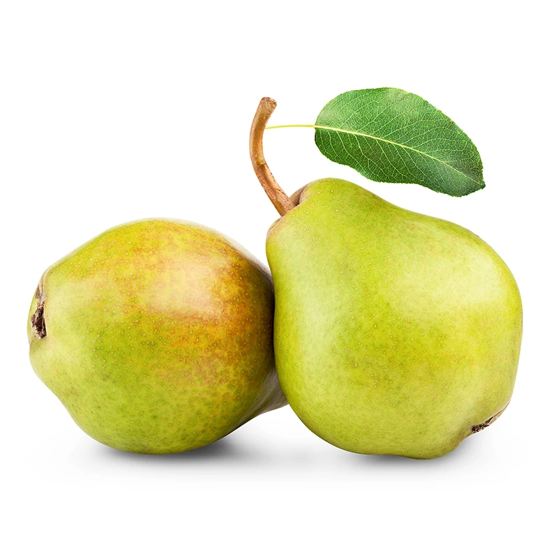 正宗库尔勒香梨爽口皮薄脆甜多汁母梨特大新鲜整箱批发水果酥脆甜
