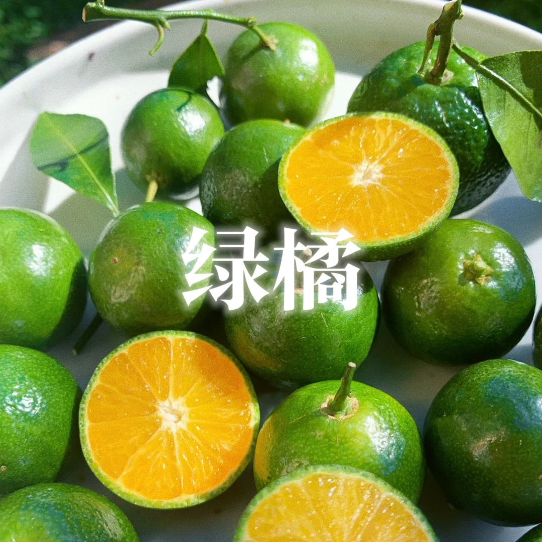 团购活动-100ml各种单方精油