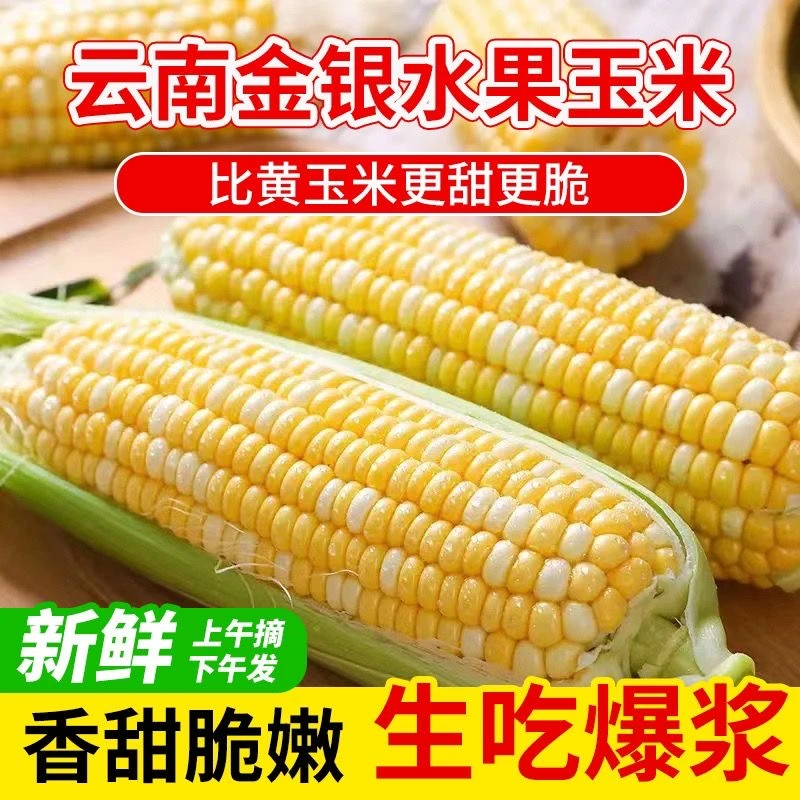云南金银水果净重5斤装生吃甜脆玉米新鲜采摘鲜嫩原产地直发