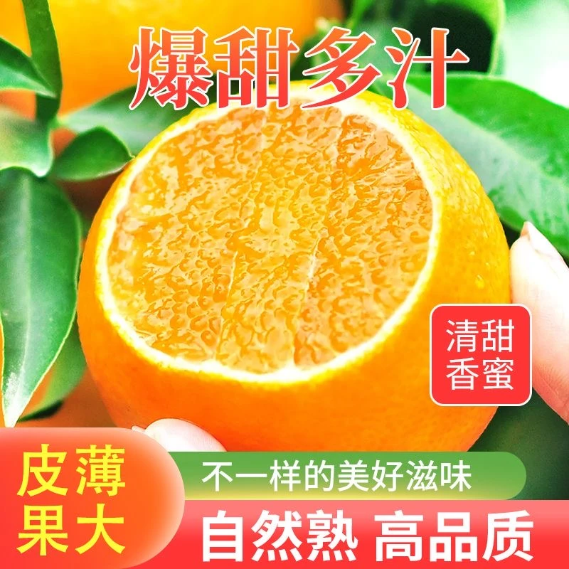 【纤果有约】云南高原沃柑4.5-5斤装新鲜采摘发货