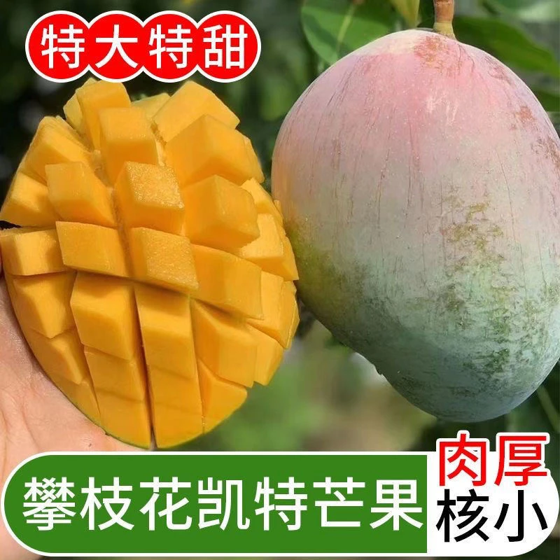 【放软再吃】攀枝花凯特芒大果香甜多汁青皮大芒果2-9斤【大脸芒】
