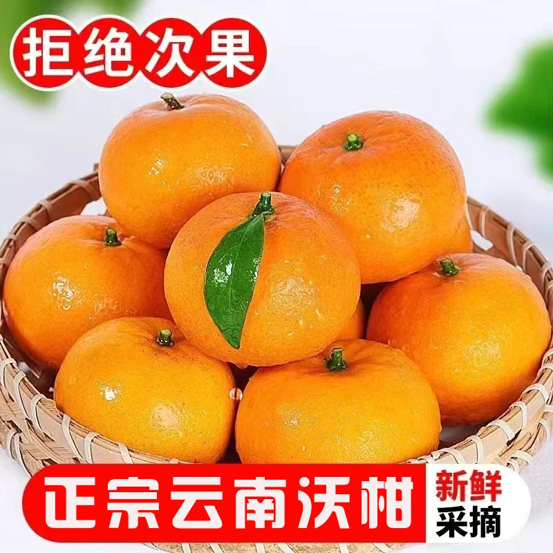 【粉丝福利 】云南哀牢山高原沃柑净重8斤装20-25个左右